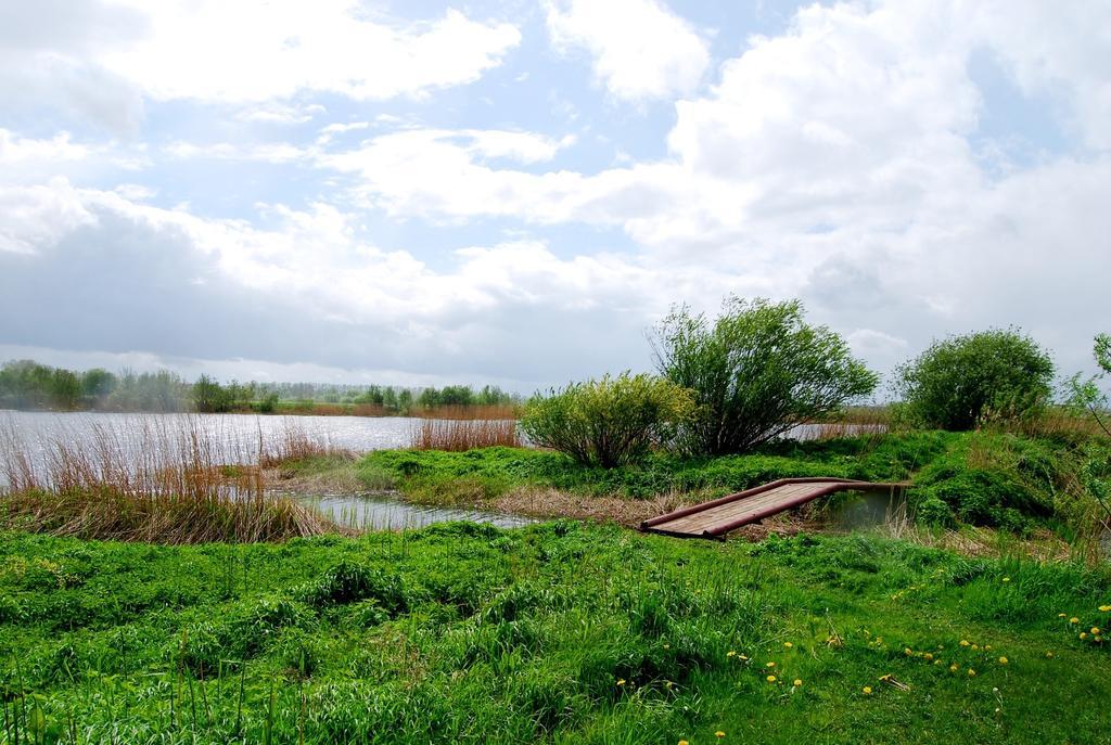 Riverside Motel Γιέλγκαβα Εξωτερικό φωτογραφία